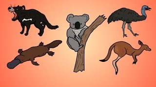 Draw Five How to Draw Australian Animals [upl. by Limber]