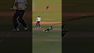 Shadab Khan Brilliant Catches 🔥🦅 shorts cricket catches [upl. by Driscoll]