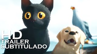 FLOW Trailer 2024 SUBTITULADO HD [upl. by Ennovahs]