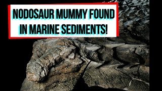 PaleoMania Ep 7  Nodosaur Mummy Found in Marine Sediments [upl. by Adria]