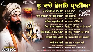 New Shabad Gurbani Kirtan 2024 Jukebox  New Shabad Kirtan  Nonstop Shabad Kirtan  Nonstop Gurbani [upl. by Hau698]