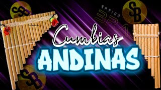 Solo Cumbias perronas 🔥 Cumbias ANDINAS mix 2023 Ft Sonido Brasil [upl. by Aivalf]