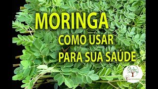 Moringa em sua Casa Aprenda como usar para sua Saúde [upl. by Atwekk972]