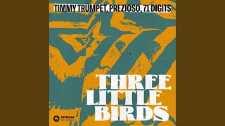 Three Little Birds Extended Mix [upl. by Nuahsak96]