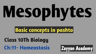 Osmoregulation in Plants Mesophytes Class 10th Biology pashto lecture [upl. by Flavia]