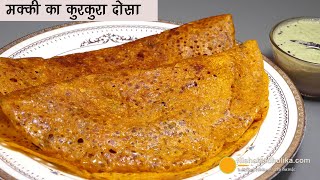 सर्दी के मौसम का कुरकुरा मक्की के आटे का दोसा बिना ईनोसोडा संग मे खास चटनी। Cornmeal Dosa amp Chutney [upl. by Adnaram]