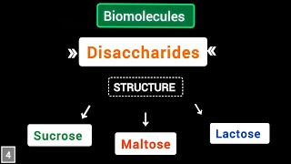 What are Disaccharides structure of sucrose maltose lactose  Biomolecules  simplified [upl. by Nosa]