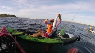 Mudjimba Island kayak fishing session captured on Action Hat [upl. by Abernathy]