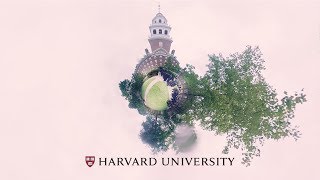 Getting ready for Harvard Commencement [upl. by Nahgrom]