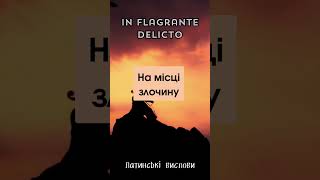 IN FLAGRANTE DELICTO Латинські вислови цитата цитатадня [upl. by Willabella]