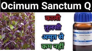 Ocimum sanctum q Ocimum sanctum mother tincture benefits in hindi [upl. by Naitsirc]