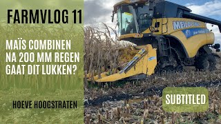 Farmvlog 11 Maïs combinen na 200 mm regen Gaat dit lukken [upl. by Lief]