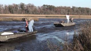 gator tail geting pulled out by a mud buddy [upl. by Eissak]