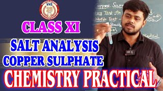 🔥🔥💥 CLASS XI CHEMISTRY PRACTICALS  SALT ANALYSIS  COPPER SULPHATE [upl. by Nylareg]