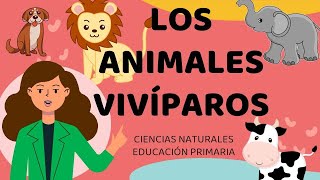 🐶🐼🐰 ANIMALES VIVÍPAROS 🐵🐘🐭 EDUCACIÓN PRIMARIA 📔✏️🎒 CLASE VIRTUAL [upl. by Demakis228]