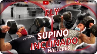 SUPINO inclinado FLY com halteres HIPERTROFIA peitoral [upl. by Namien]