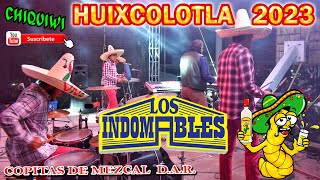 Los Indomables en Vivo 2023  Copitas de Mezcal DAR [upl. by Ardnasac]