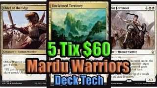 MTG Budget Modern Warriors Deck Tech [upl. by Esinyt]