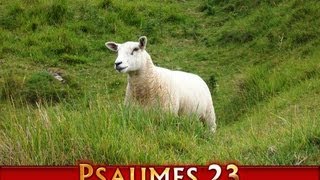 Psaumes 23  Psalm 23  French 230min [upl. by Mortimer]