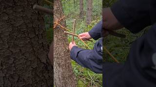 A great method for tightening the tarp ridgeline bushcraft survival tarpcamping tarpknot [upl. by Troc]