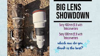 Sony Big Lens Showdown 400mm f28 vs 600mm f4 [upl. by Golden674]