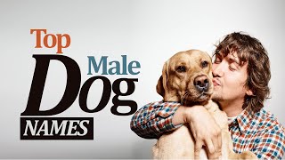 Top Male Dogs Names  Unique Male Dog Names 2020  English Vocabulary [upl. by Emmie]