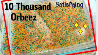 ORBEEZ GROWING TIMELAPSE [upl. by Bridie]