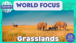 Grasslands  World Focus for Kindergarten  EYFS  Episode 9 [upl. by Adnilahs]