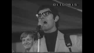 MANFRED MANN  If You Gotta Go Go Now 1965 [upl. by Boylston]