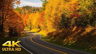 Utah Autumn Colors Mountain Scenic Driving 4K  Kolob Terrace Through Zion  Fall Relaxation [upl. by Arraeis]