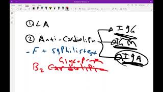 Antiphospholipid Syndrome APS  Medicine With Alis [upl. by Riccio]