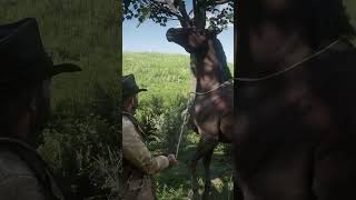 Easiest Way To Get Blood Bay Thoroughbred Horse With Location  RDR2 shorts rdr2 rdr2guide [upl. by Haisoj]