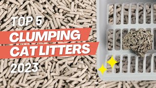 Top 5 BEST Clumping Cat Litter Brands 2023 [upl. by Dragelin]