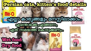 Persian cat foods details  malayalam [upl. by Ennavoj]