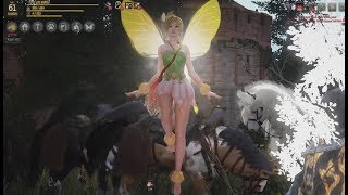 Black Desert  Quest Fairy Laila [upl. by Aldin]