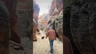 Zion National Park Utah [upl. by Benn]