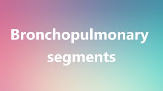 Bronchopulmonary segments  Medical Meaning [upl. by Gordie]