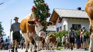 Mittenwald Kruen und Wallgau  Deutsche Kulturfest  Oktoberfest 2024  Janu German [upl. by Drahcir326]