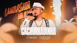 Lambasaia  Cachorradinha DVD na ilha [upl. by Nosae636]