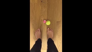 Fußmassage mit dem Tennisball Faszienmassage [upl. by Garrik]