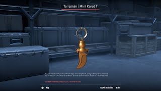 INSANE CS2 TALISMAN OPENING [upl. by Kantor877]