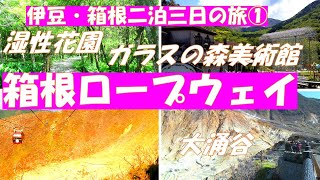 新宿からバスと箱根ロープウェイとケーブルカーでめぐる【大涌谷 ガラスの森美術館 湿性花園】ヴェネチアングラスの美術館と湿原の可憐な花々と雄大な大涌谷を楽しみました。 [upl. by Margarethe509]