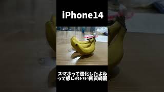 【検証】色々な機種で写真撮って見比べてみた！！iphone 3ds カメラ ガジェット [upl. by Eiramanitsirhc]