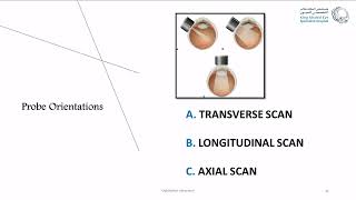 Ultrasound Course [upl. by Araid851]