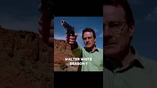 Breaking Bad characters throughout the seasons [upl. by Stasny450]