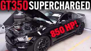 Should You Supercharge A Shelby GT350 Or Get a 2020 GT500 Battle of the 800Hp Cars [upl. by Llereg]