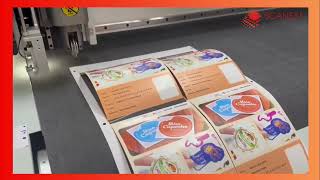 Sticker Label AUTO FEED AO FLATBED CUTTER SCANEXT 1612PLUS [upl. by Grekin]