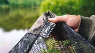 PROLOGIC 2017  CC30 LANDING NET [upl. by Rutherfurd178]