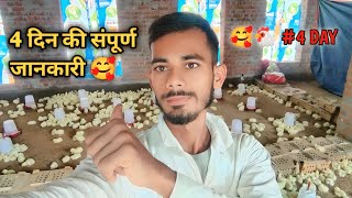 first vlog video in polti from 🥰 polti murgi farm business 😱 ॥ polti from ॥ polti murgi farm [upl. by Ahsinej147]