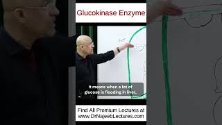 Glucokinase Enzyme shorts shortvideo drnajeeb [upl. by Akehsat]